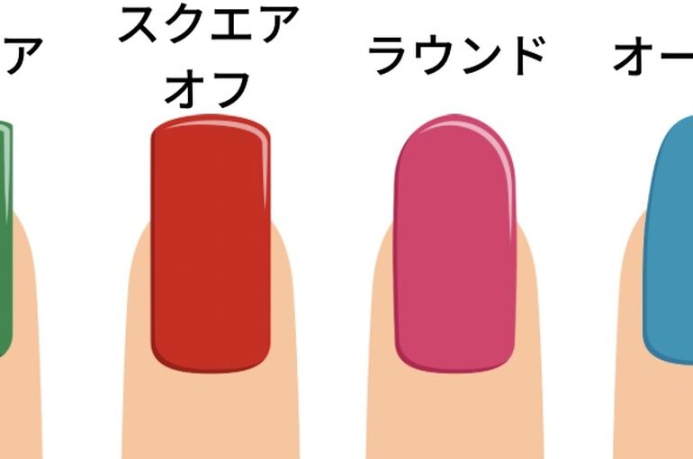 爪の形の画像