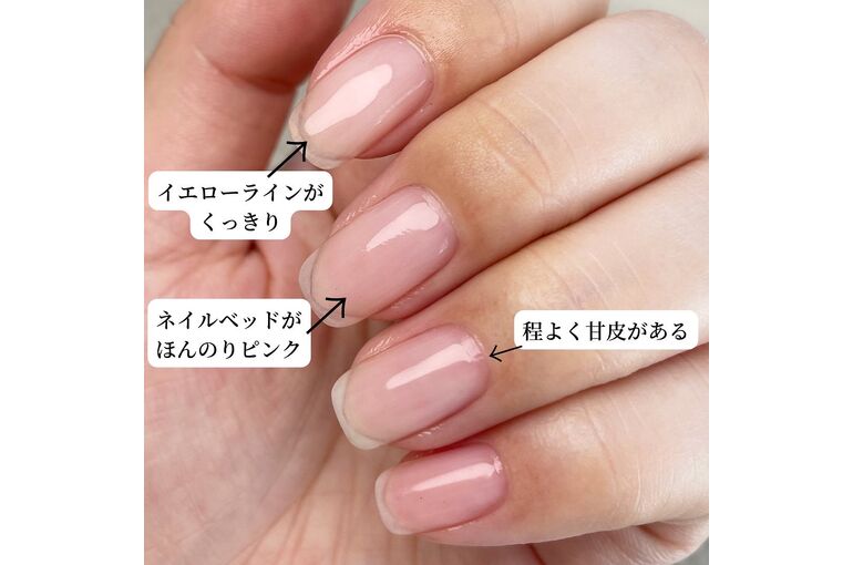 爪の写真