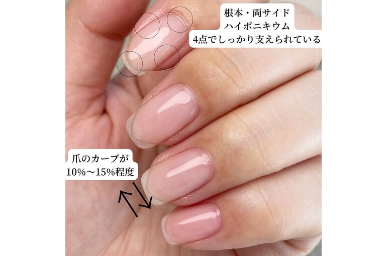 爪の写真