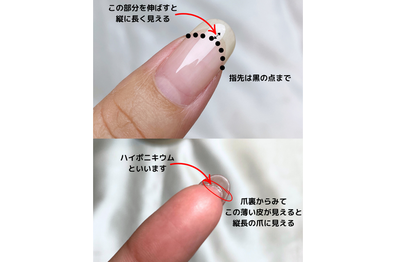 爪の写真