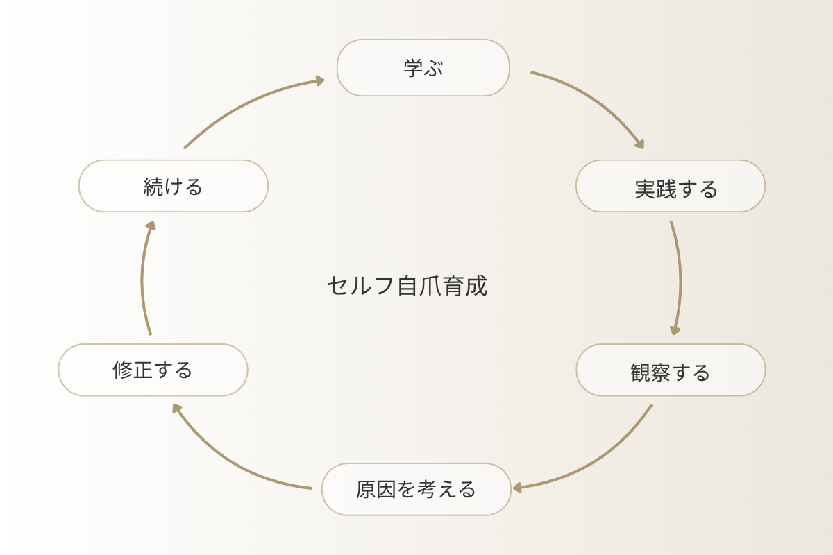 セルフ自爪育成を成功に近づける6つのステップをまとめたフロー図