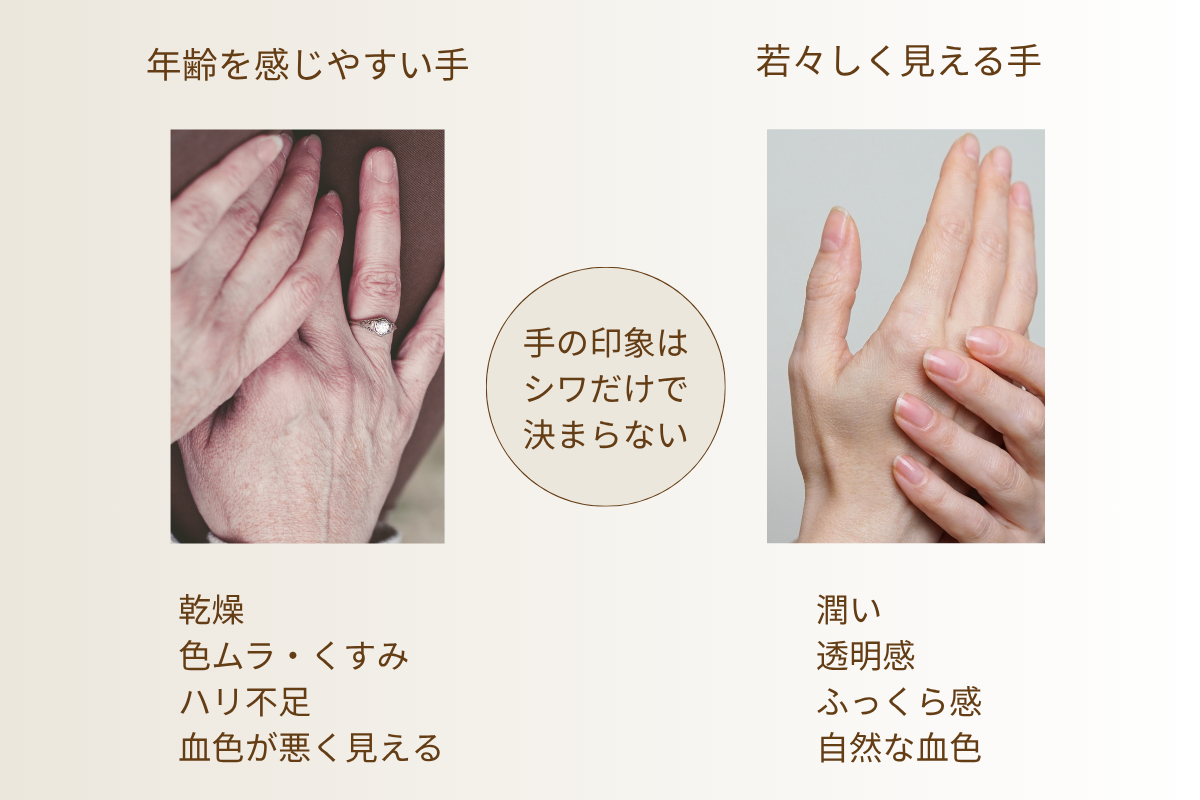 老けて見える手と若々しく見える手の乾燥・くすみ・ハリ・血色の違い